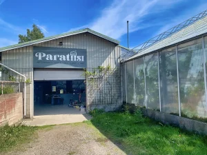 Taidekeskus Paratiisi, Nauvo, 2026